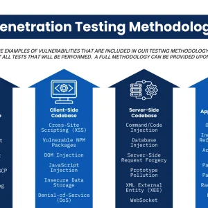 I will conduct a web application and cloud penetration test
