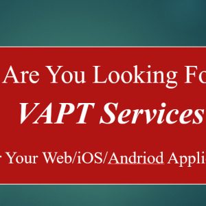 I will provide professional vapt services with fast delivery in 3 days